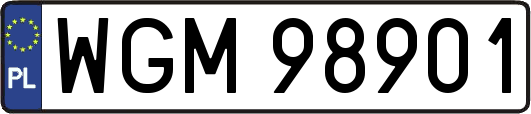 WGM98901