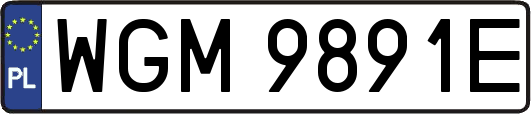 WGM9891E