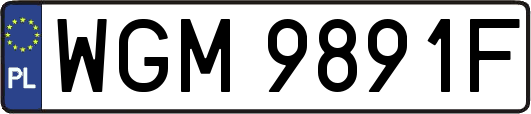 WGM9891F