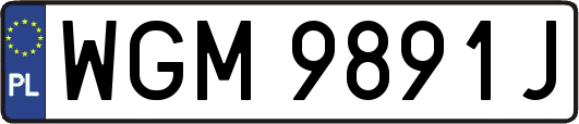 WGM9891J