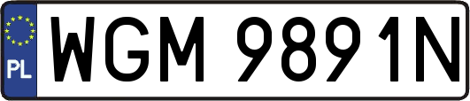 WGM9891N