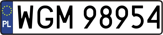 WGM98954