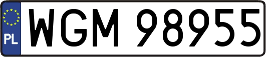 WGM98955