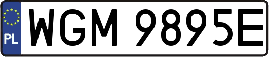 WGM9895E