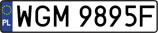 WGM9895F