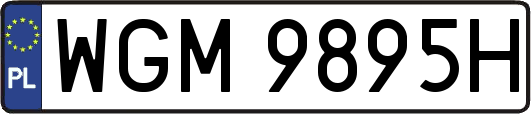 WGM9895H