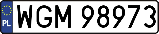 WGM98973