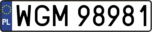 WGM98981