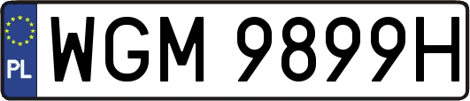WGM9899H