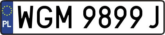 WGM9899J