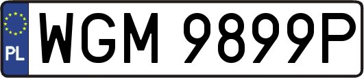 WGM9899P