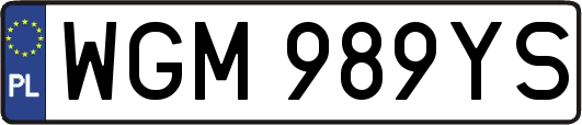 WGM989YS