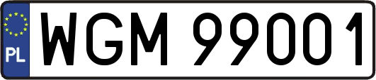 WGM99001
