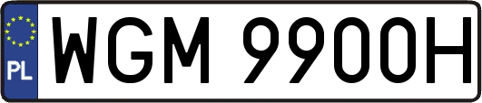WGM9900H