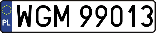 WGM99013