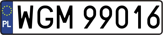 WGM99016