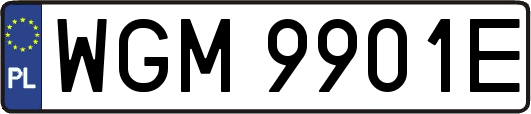 WGM9901E