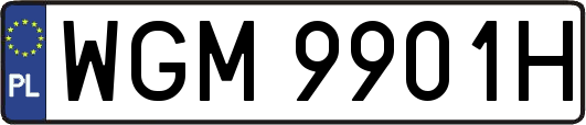 WGM9901H