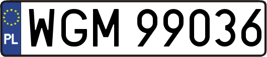 WGM99036