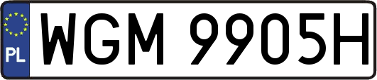 WGM9905H