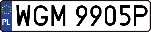 WGM9905P