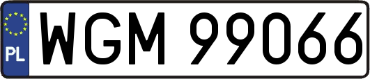 WGM99066