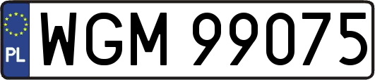 WGM99075