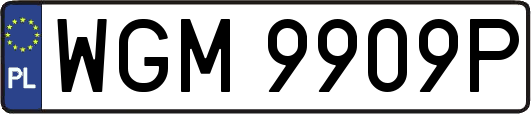 WGM9909P