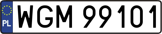 WGM99101