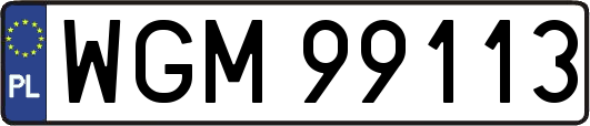 WGM99113