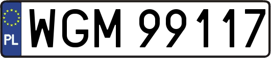 WGM99117