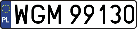 WGM99130