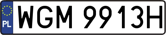 WGM9913H