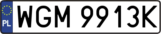 WGM9913K