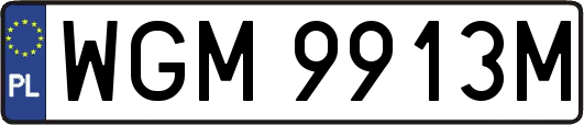 WGM9913M