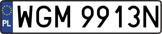 WGM9913N