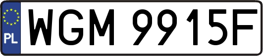 WGM9915F