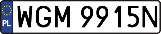 WGM9915N