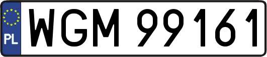 WGM99161