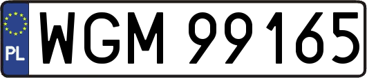 WGM99165