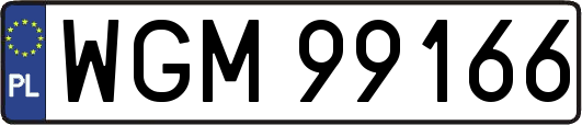 WGM99166