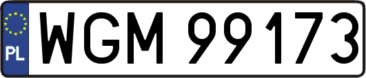 WGM99173