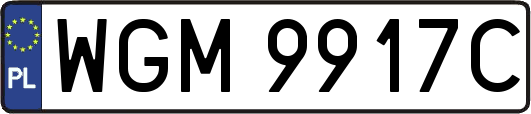 WGM9917C