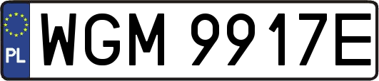 WGM9917E