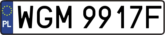 WGM9917F