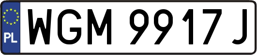 WGM9917J