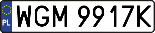 WGM9917K