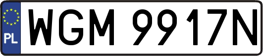 WGM9917N