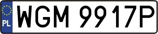 WGM9917P