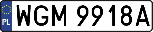WGM9918A